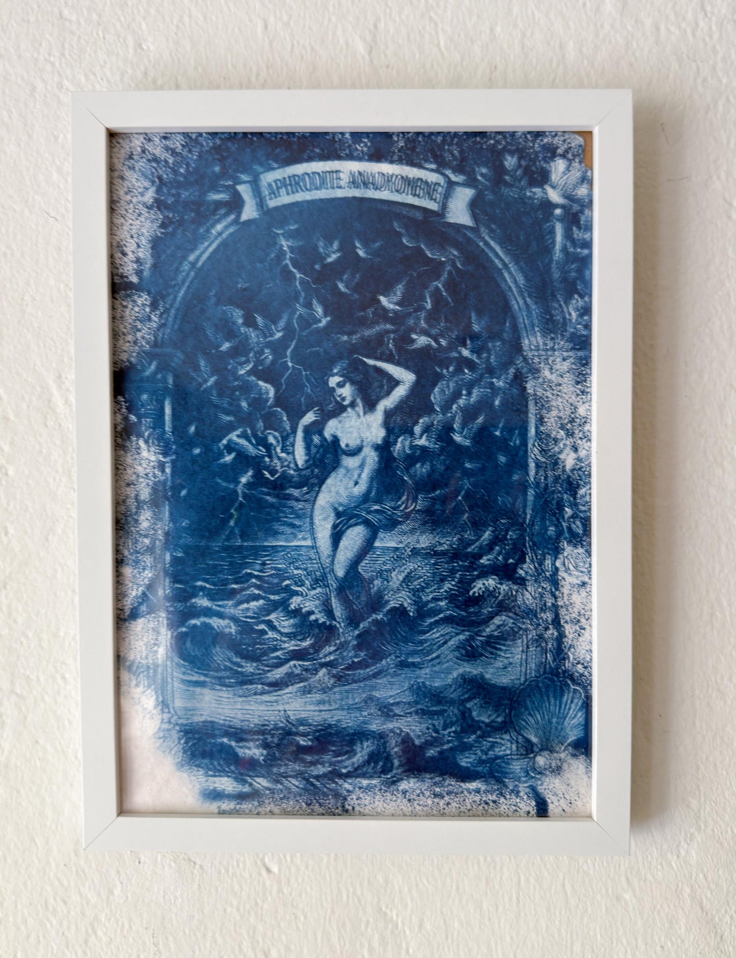Aphrodite Cyanotype Print, Original Handmade Blue Art on Cotton Rag Paper, A4, Romantic Sapphic Wall Art