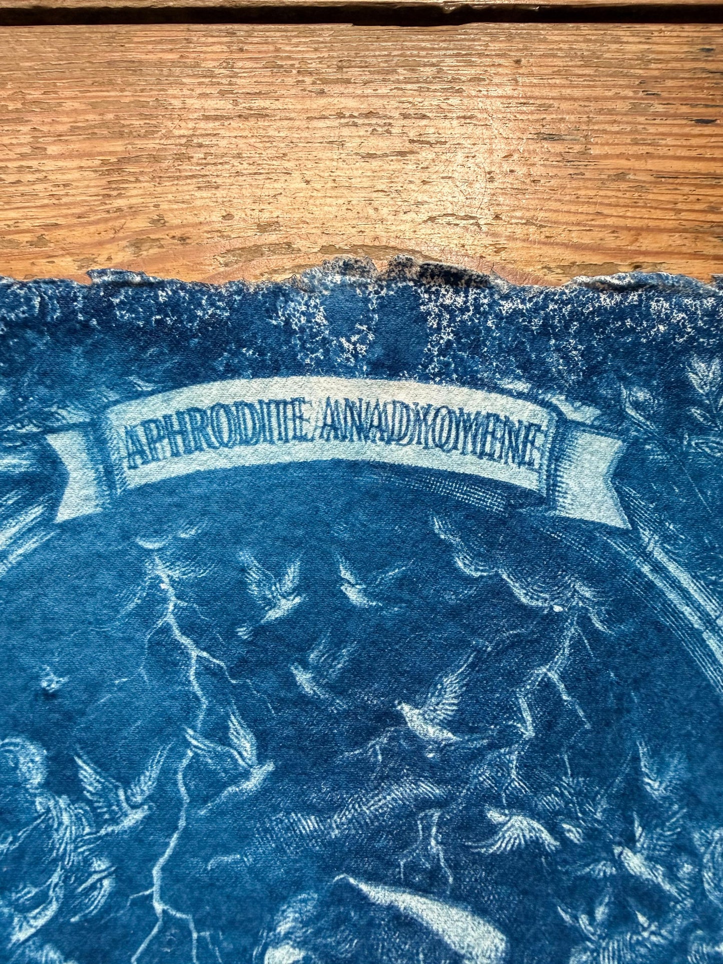 Aphrodite Cyanotype Print, Original Handmade Blue Art on Cotton Rag Paper, A4, Romantic Sapphic Wall Art