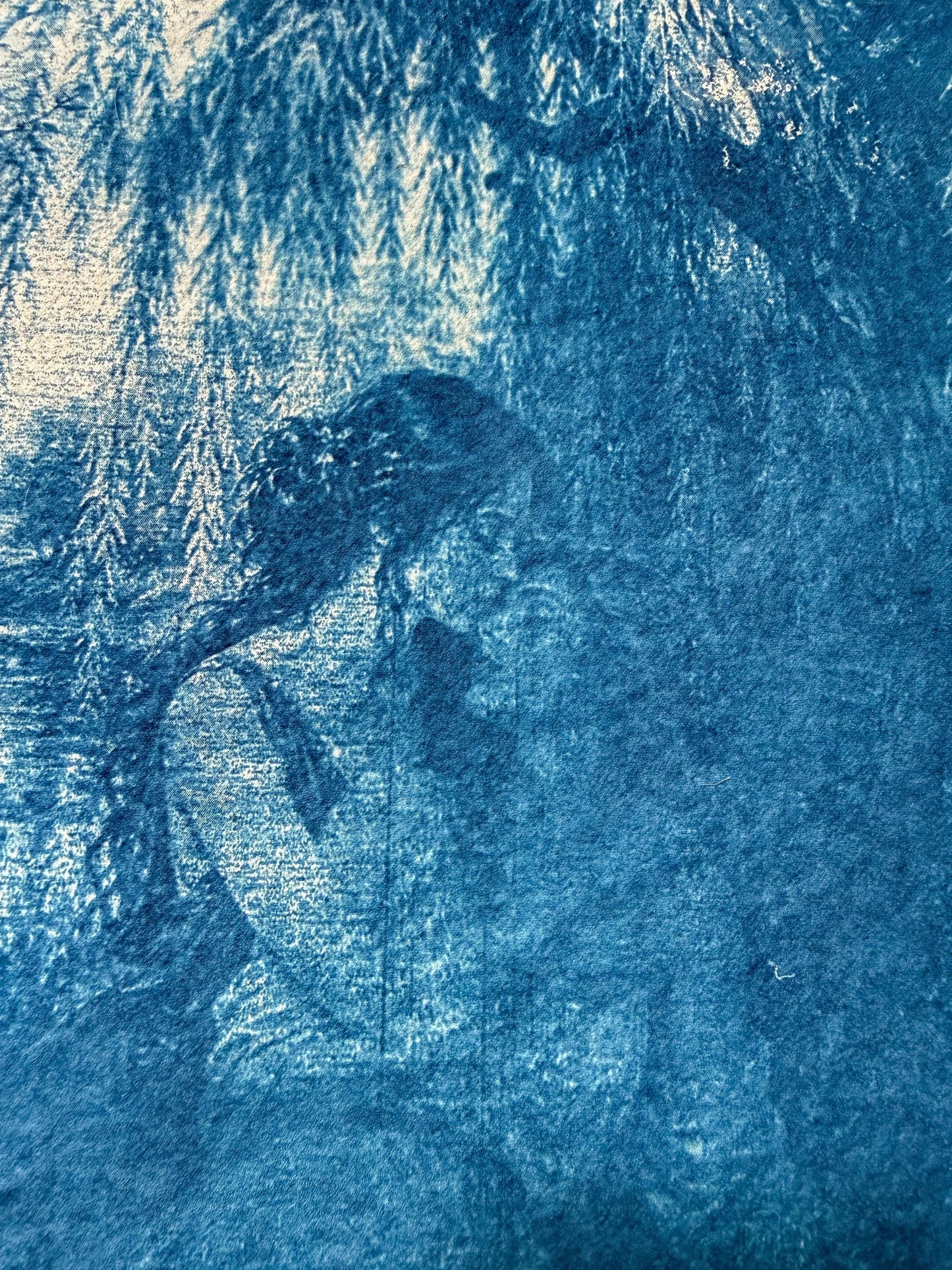 Lesbian Lovers Cyanotype Print, Original Handmade Blue Art on Cotton Rag Paper, A4, Romantic Sapphic Wall Art, Kiss, Tree, weeping willow